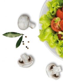 Vittorio’s Livingston shape