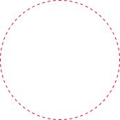 Vittorio’s Livingston  shape